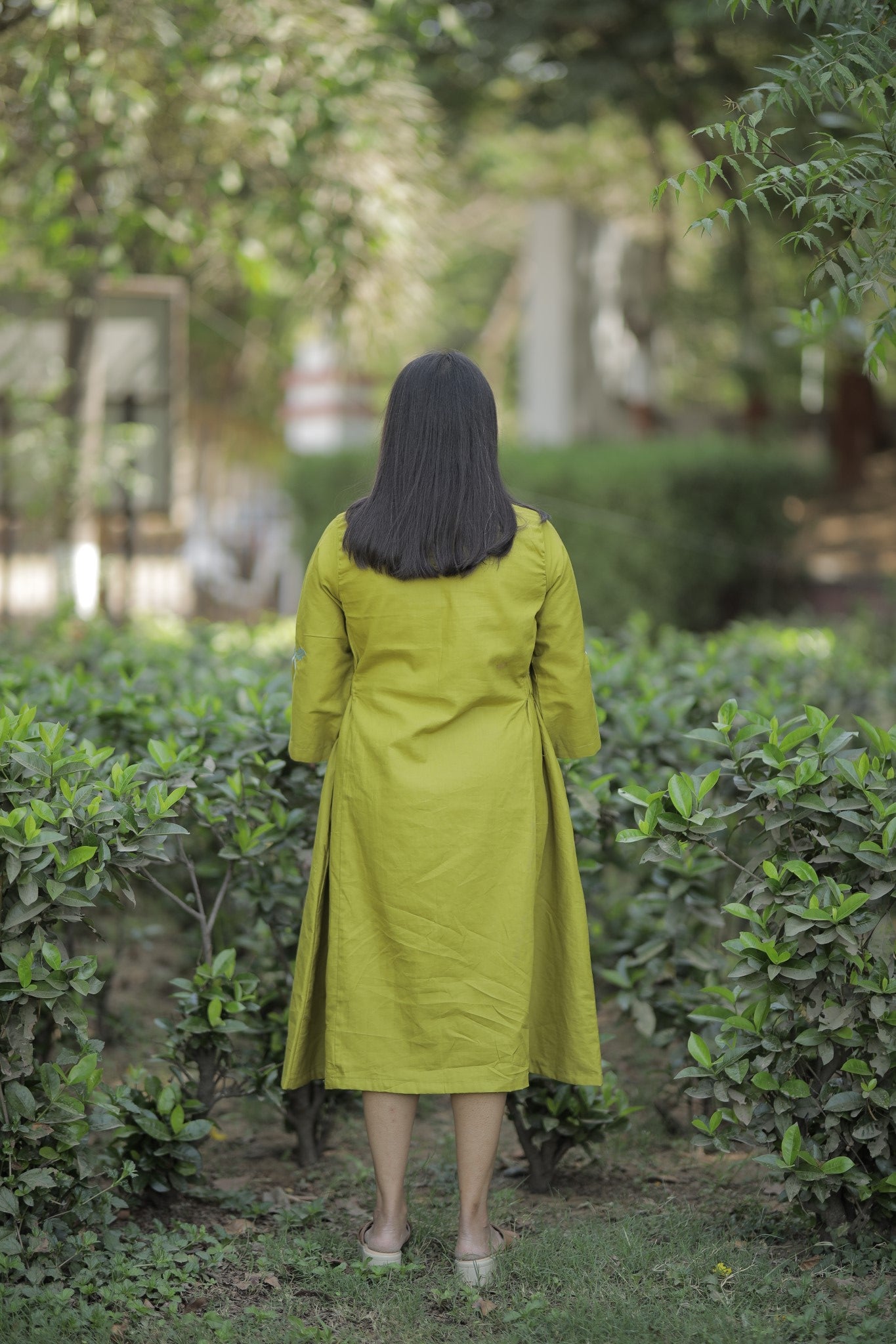 Aaruhi - Olive Embroidered Cotton Midi Dress